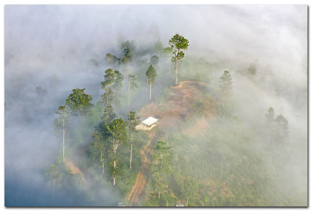 Morning Fog, Little Adam's Peak, Ella, Sri Lanka - 1-400 s à f - 8,0 - EF-S17-55mm f-2.8 IS USM @ 55 mm_