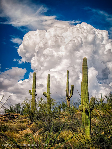arizona usa landscape hiking saguaronationalpark monsoons saguarocactus stormyskiesclouds