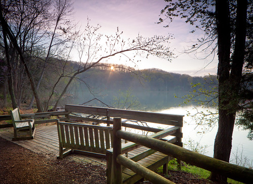 lake forest sunrise bench nashville tennessee calm radnorlake