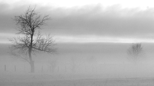 morning trees winter cold field sunrise early bancroft