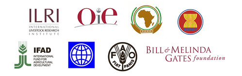 Representatives of global and regional institutions