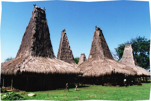 Visiting Sumba - Sexy Villages & Exotic Cultures