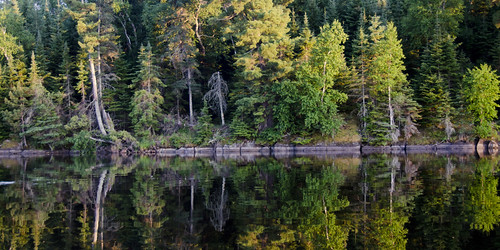 lake ontario canada reflection tree green nature water silhouette horizontal forest outdoors woods day nopeople manitoba kenora scenics lakeofthewoods tranquilscene watersurface nonurbanscene