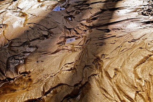 abstract creek flow stream mud flood photojournalism wv conceptual runoff daviscreek pentaxart