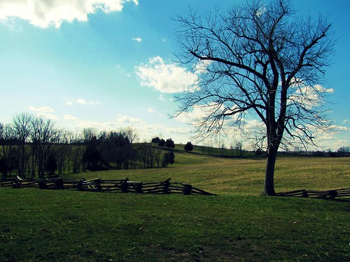 county sky tree field clouds fence kentucky civilwar battlefield boyle perryville