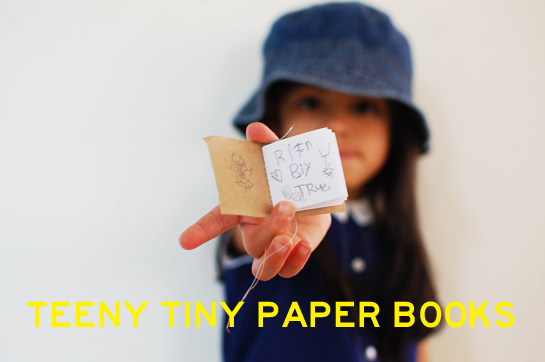 teeny tiny paper books