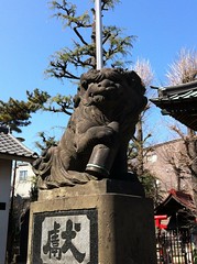 狛犬探訪 武蔵小杉 大戸神社