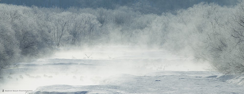 winter mist japan river hokkaido frost mbp hokkaidofeb2012