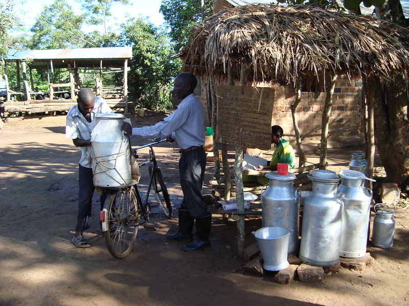 Selling milk by the road in Tanzania