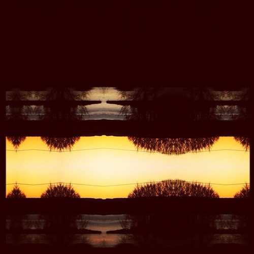 trees sunset reflection water silhouette square wires bushes iphonography decim8 instagrame