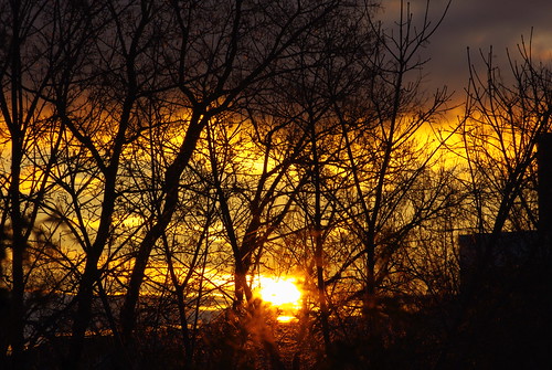morning trees winter sky orange sun clouds sunrise ottawa westboro earlswood sooc kitchissippi
