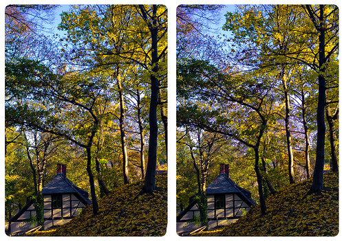 autumn trees summer house eye radio work canon germany eos stereoscopic stereophoto stereophotography 3d crosseye crosseyed ancient europe raw cross control saxony kitlens twin stereo sachsen squint stereoview remote spatial 1855mm sidebyside leafes hdr stud halftimbered 3dglasses hdri indiansummer sbs transmitter antiquated stereoscopy squinting threedimensional stereo3d freeview cr2 stereophotograph vogtland crossview 3rddimension 3dimage xview tonemapping kreuzblick 3dphoto 550d stereophotomaker 3dstereo 3dpicture quietearth yongnuo stereotron