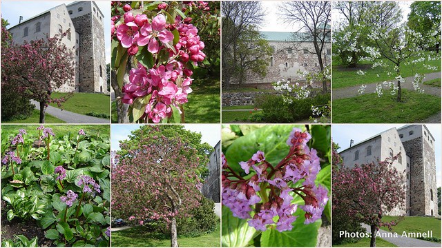 Spring, Turku Castle, May 25th