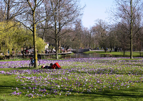 Fotografia em Amsterdam: Vondelpark