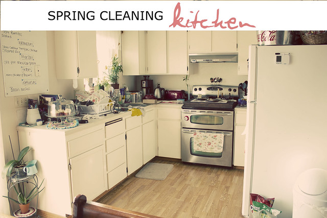 Spring Cleaning Kitchen