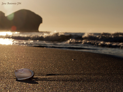 sea españa beach sunrise mar sand shell playa arena amanecer concha almeria monsul