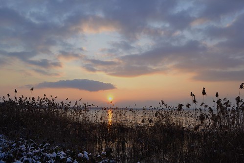 winter sunset sky landscape nikon tramonto cielo inverno paesaggio lagodigarda pacengo flickraward gardaslake nikond3100
