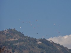 Not sure how the paragliders manage not to crash into each other, but seems popular anyway