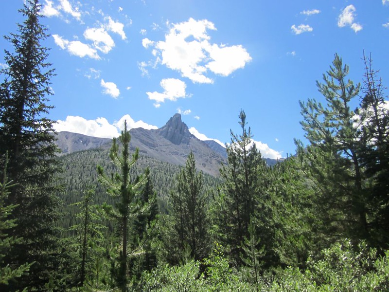 View toward Noetic Peak from the Cascade River Trail