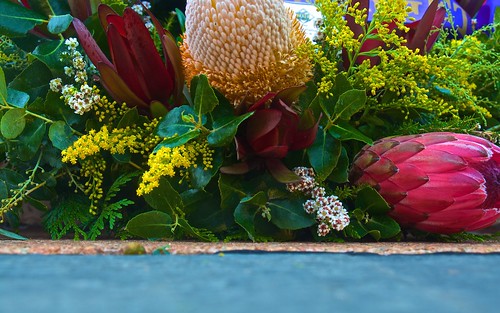 flowers memorial war day native australian wreath anzac townsville