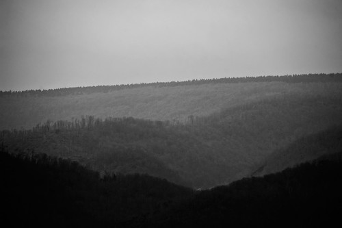voyage road trip travel trees bw white black france forest point landscape amazing scenery noir view belgique weekend scenic roadtrip lookout nb arbres journey lille luxembourg paysage viewpoint gent blanc vue forêt gand metz 2012 février mlgpr