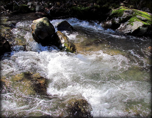 water creek stream