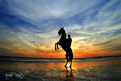 travel winter pakistan sunset horse seascape public place images east getty middle karachi wrath sindh fury seaview exasperation prancing iqbal khatri seaviewkarachi gettyimagespakistanq12012 gettyimagesmiddleeast