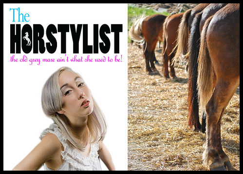 The Horstylist - Design Assignment #342