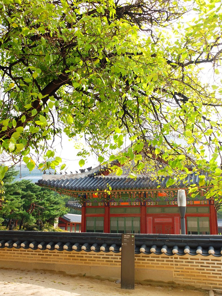 deoksugung palace (changing of the guards)