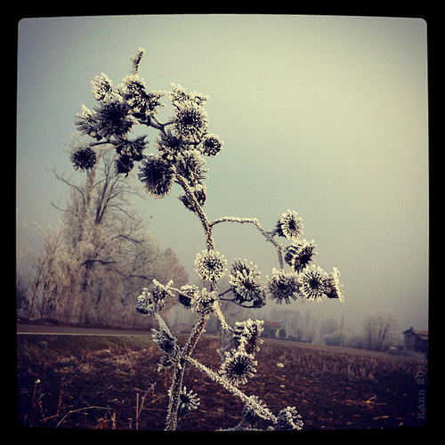 winter italy flower landscape 4 iphone instagram