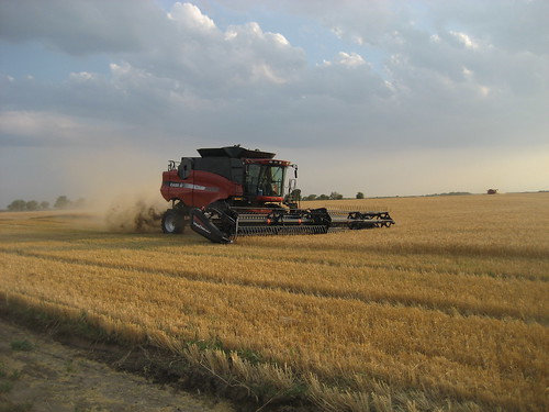 wheat combine kansas flour caseih wheatharvest hardredwinterwheat