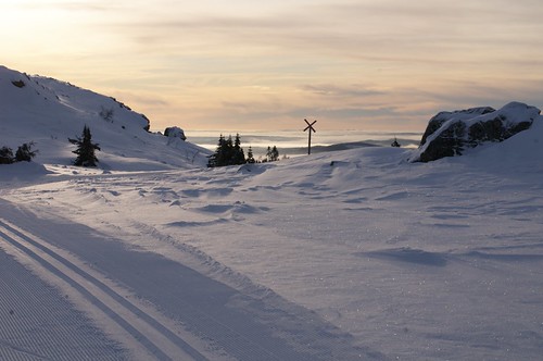 skiing crosscountry trysil