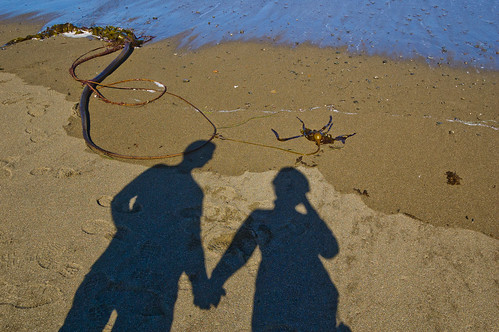 Manchester Beach State Park Shadows