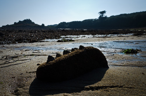 england sky seaweed beach water stone sand stmarys oldtownbay islesofscilly limpets
