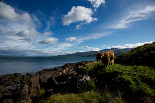 seascape landscape scotland nikon soundofmull morvern ardtornish scottishlandscapes