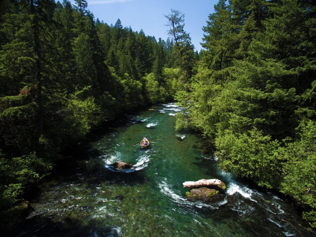 fly fishing the upper mckenzie with the caddis fly