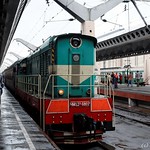 Saint-Petersbourg - train