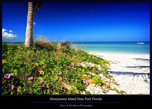 beach gulfofmexico landscape dunedin fl floridastateparks
