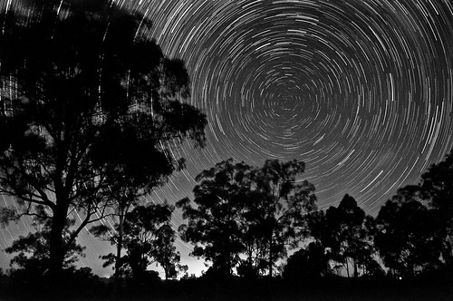 trees sky night stars star long exposure space trails queensland toowoomba