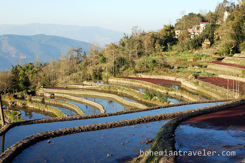 Yuanyang Rice Terraces around Xinjie China 12