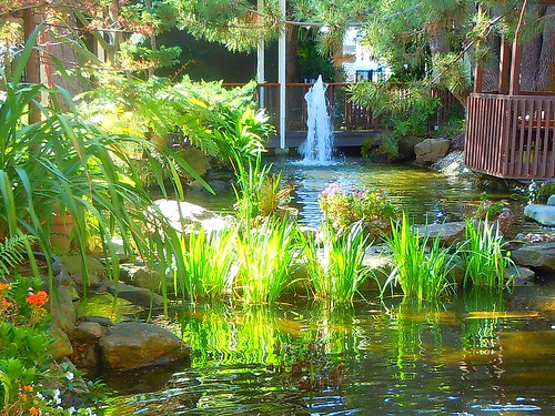 watergardens ponds wow1 zengardens dinahsgardenhotel californiagardens ringexcellence beginningmarch2012