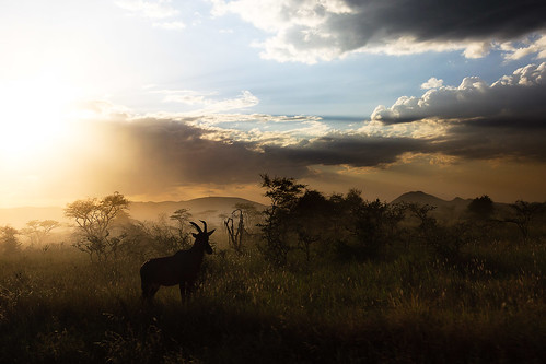 sunset tanzania flickr safari serengeti share 2012 topshare top100landscapes