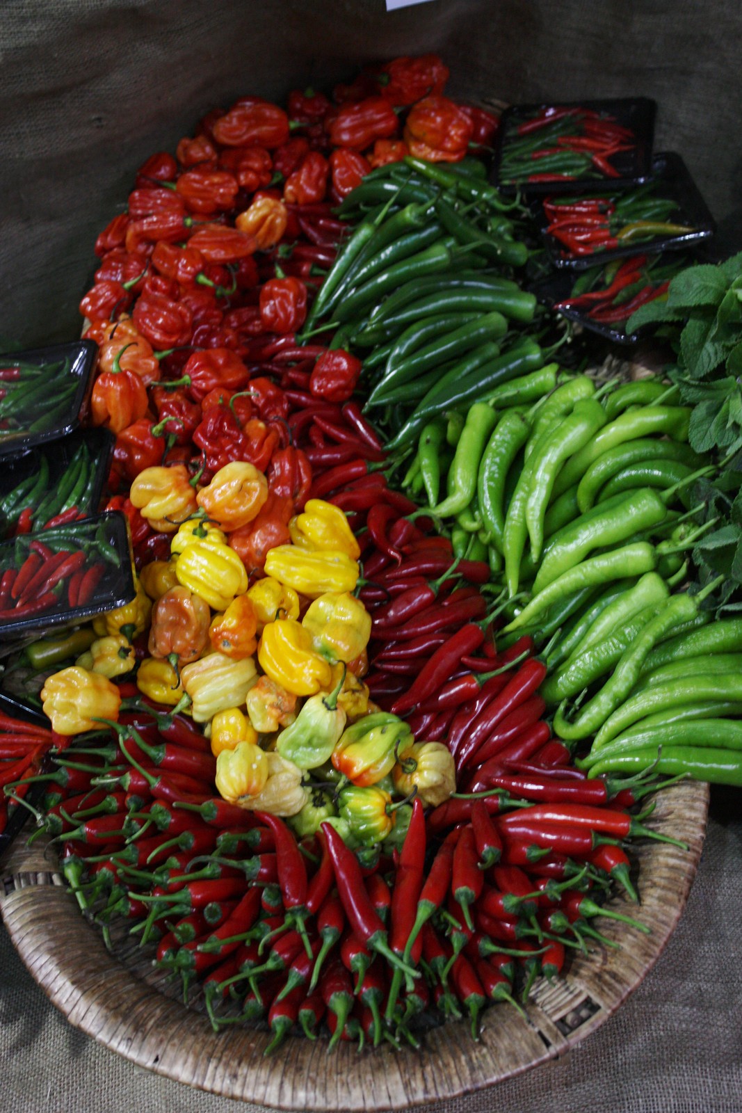 Market Peppers