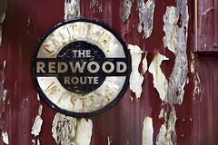 The Redwood Route