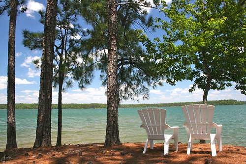 trees white lake home water pine island trillium waterfront view chairs alabama property lakemartin kowaliga