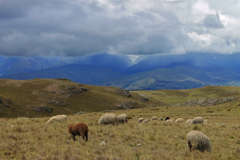 Looking from the Negra to the Blanca, in rainy season