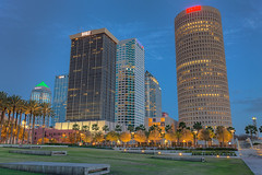 Tampa Tight from Curtis Hixon Park