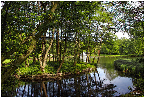 park nature germany landscape deutschland see wasser natur nrw landschaft dortmund fredenbaumpark mygearandme rememberthatmomentlevel1 rememberthatmomentlevel2