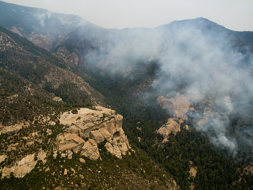 newmexico may 2012 aerialphotograph gilanationalforest whitewaterbaldycomplex interiorfireeffects