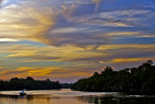 trees house water grass sunrise canon river boat mangrove 20mm riverbank brunei manfrotto 055prob tutong eos5dmkii tutongriver sungaitutong